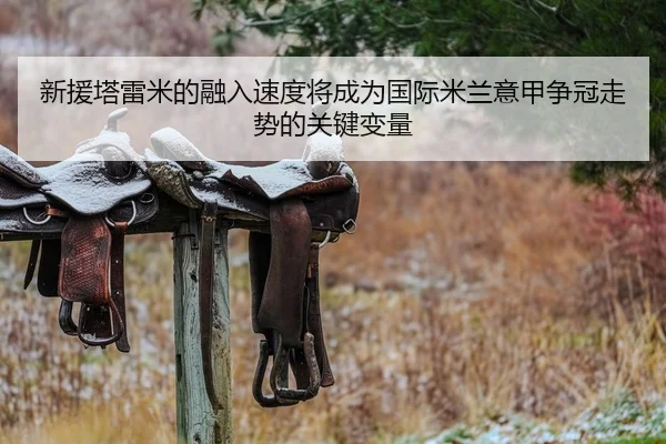 新援塔雷米的融入速度将成为国际米兰意甲争冠走势的关键变量